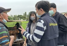 嘉縣查獲黑心繁殖狗場 63隻品種犬全數沒入 最高可罰300萬