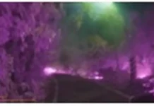 彰化巡邏警眼尖深夜發現山區起火 警消合力阻火燒山