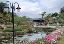 從春天開始慢生活 新北景觀處推金山中山溫泉公園 一年四季放鬆樂活