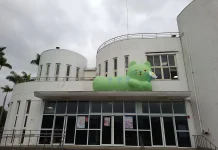 花IN台北再添萌點 2.5公尺「園丁喵喵」現身玫瑰展