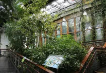 本尊長這樣 臺北典藏植物園秀國寶級造林樹種