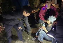 黑夜中一聲聲呼救 中興警消合力找回登山迷途老婦