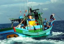 成功鎮鏢旗魚文化共學講座開跑