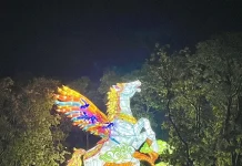 紅螞蟻生態世界的大消息來啦!