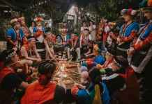 阿里山星光婚旅12對佳偶體驗部落秘境!夕陽雲海見證浪漫愛情