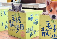 高雄大立推雙主題活動 串聯寵物友善與城市運動風潮