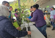 基隆「發票換樹苗」人氣爆棚 3509株苗木半日搶光