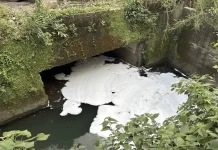 消防泡沫外洩釀污染 基隆碇內大排出現大片白色泡沫 業者遭停工