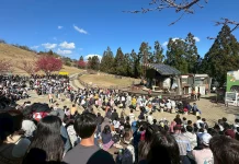 春遊清境騎馬看綿羊 再訪梅峰花海兩日遊