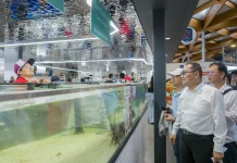 考察雪梨魚市場 侯友宜:借鏡國際經驗 持續翻轉新北市場