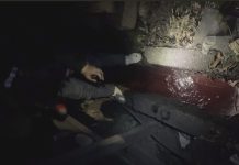 稽查重案組建功!新北查獲泰山食品業繞流排放 強力停工守護市民生活品質