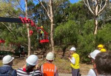 韌性城市從「樹」開始! 中市建設局培訓百名人員 精進行道樹高空修剪專業職能