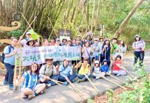 大坑森林療癒之旅掀熱潮 6大步道打卡抽獎持續延燒