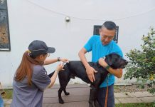 台中市搜救犬與警犬完成疫苗注射 強化動物防疫與公共安全
