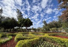 從展示藝術到生活場域 后里森林公園機械花啟動轉型