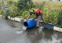 中市推動登革熱孳生源清除評比成效亮眼 動員33萬人次、公私協力守護城市健康