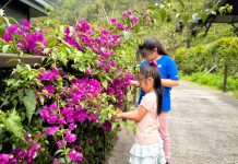 阿里山腳下親子賞螢熱點 美食×體驗×夜間生態一次玩