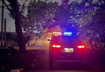 風雨無阻 北斗暖警即時排除路樹倒塌 守護用路人安全