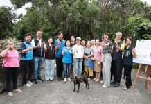 許縣長會勘南投市10件道路排水工程 將投入1800多萬元改善