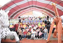 115年彰化縣兒童節活動 叢林動物派對熱鬧登場