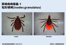 全球萊姆病病例攀升 台灣現首例境外移入