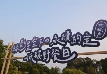 地球力 低碳野餐日 綠影星空下的永續約定 縣長張麗善籲減少一次性用品使用 從日常生活中落實減碳行動