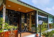 放鬆旅行!走進嘉義梅山為身心開一帖「自然處方」