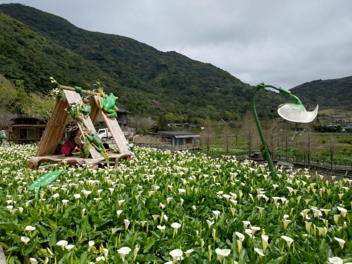 14daef18-9ced-4430-a93b-5e7e5632a58e-4-scaled-1