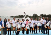 8米巨型天鵝閃耀登場 「雲林天鵝湖嘉年華」盛大開幕 嗨翻兒童節連假