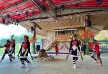 賞螢季節到 嘉縣文觀局推薦樂野部落探訪與手作體驗之旅