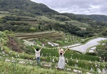 鳶尾花遇見嵩山百年梯田 新北石門嵩山春季限定