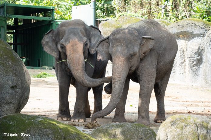 22e14dbf-0d69-468e-bf15-53a90437581e-1