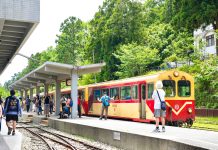 阿里山療癒慢旅 老宅鍋物 茶園與螢光夜景串聯山林風貌
