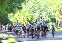 2026南投百K小鎮漫遊首度前進埔里!4/18相約福興溫泉 體驗小鎮慢活與永續風情