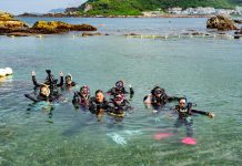 從海底的微光開始 日月光海域守護修復人類與海洋生態關係