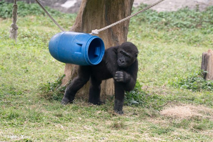 6e111be2-bf26-4224-9d98-5e99060c83af