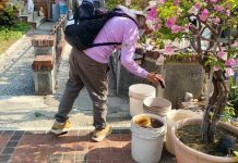 清明連假將至,掃墓祭祖與踏青出遊活動增加,黃偉哲提醒做好防蚊措施,防範登革熱