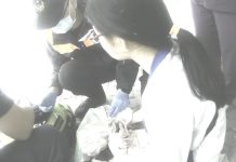 蜀葵花季突發昏厥 員警即時協助送醫化解危機