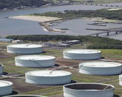 IMG_0787 圖/翻攝網路