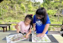 阿里山腳下親子賞螢熱點 美食×體驗×夜間生態一次玩 圖/嘉義縣政府