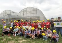 竹崎食農體驗結合愛心義賣 鹿滿學童採番茄助弱勢