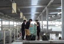 漁電共生打造永續養殖新模式 泓德能源日運案場成國內外關注示範場域