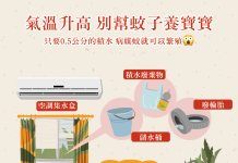 嘉義市公告防疫新令:未清積水孳生孑孓 最高罰1.5萬元