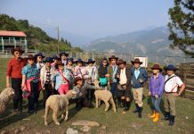 最狂同學會 台大學霸穿越半世紀重聚清境牧羊憶青春