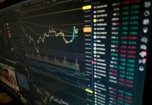 想領股息又怕錯過台積電?股魚點名00929:這次真的不用二選一