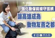 柯志恩委員針對高雄動保議題的回應