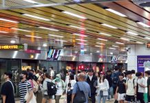 高捷運量創新高 115年全系統第一季日均突破24萬人次,輕軌助攻創紀錄