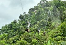 又是人為陷阱!鳥網奪走11條命 只有牠「眨眼」活了下來