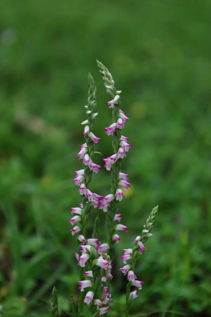 a5aa5dd6-3a13-4e55-a639-a56de6cc0b16-2