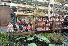 仲夏夜之夢 信義國小師生喜迎火金姑回家